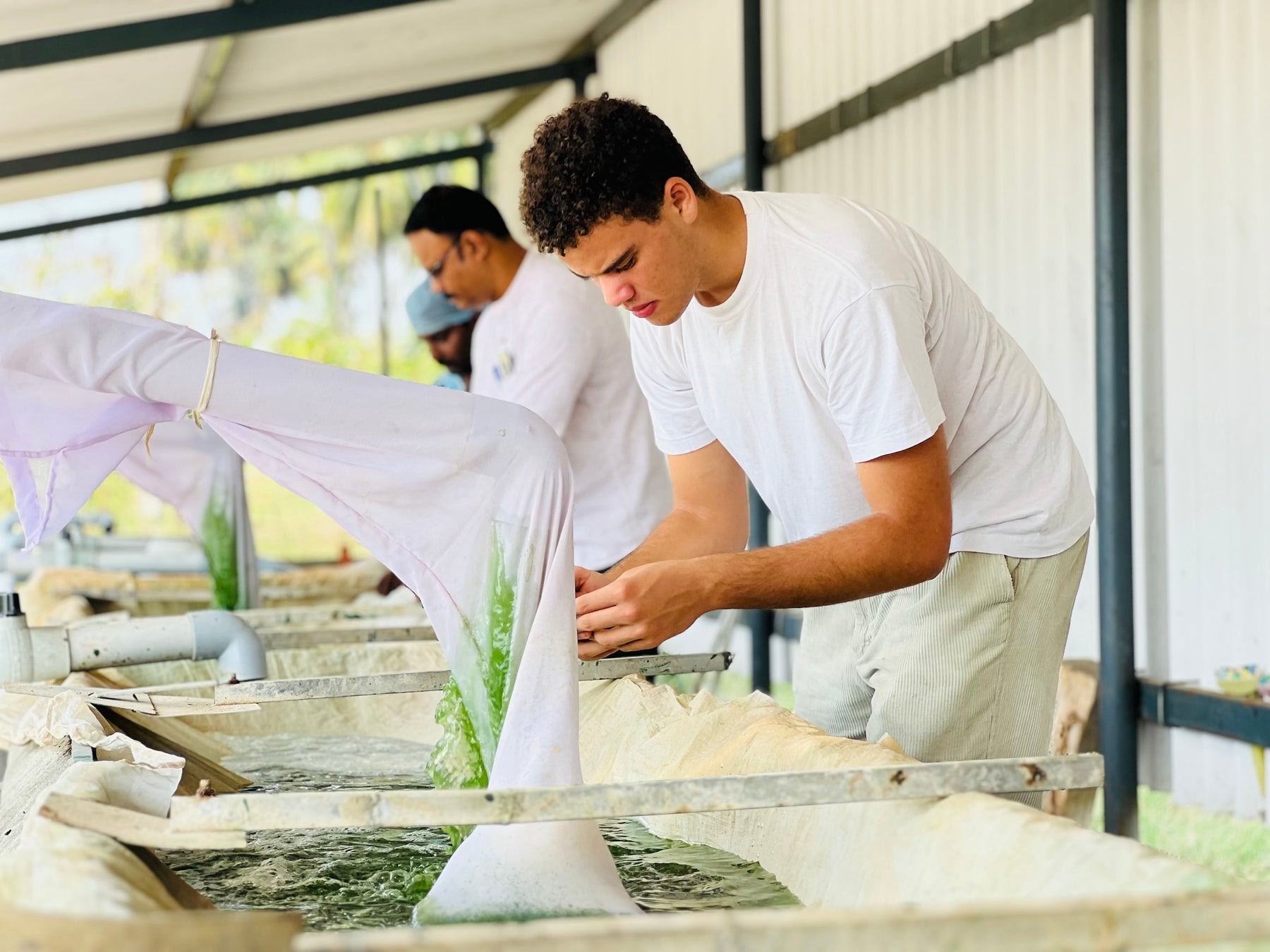 SPIRUGREEN · NOTRE HISTOIRE