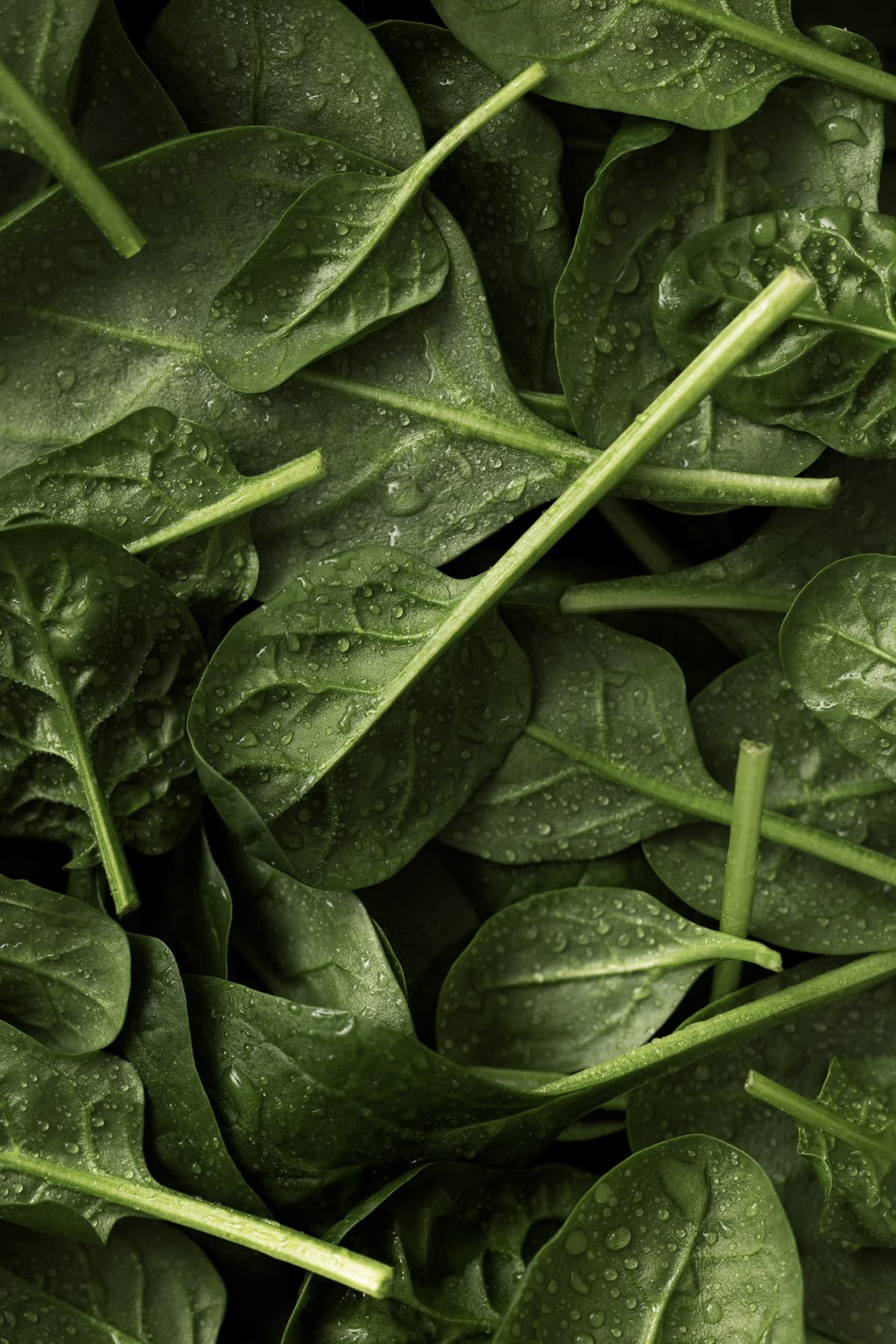 Les meilleures sources de fer alimentaires (et pourquoi elles ne suffisent pas toujours)