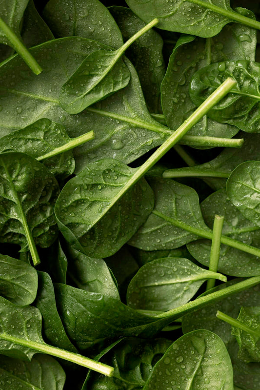 Les meilleures sources de fer alimentaires (et pourquoi elles ne suffisent pas toujours)